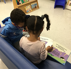 Headstart_EHS_Reading